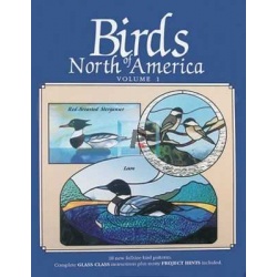 Birds Of North America ##