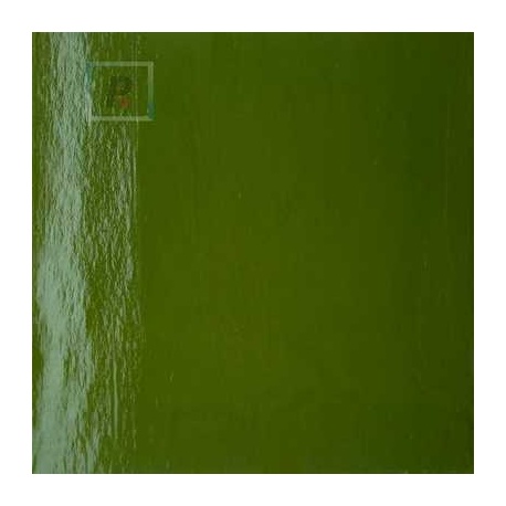 Opaco Fusing Verde Hierba 60-755-96 61x61cm