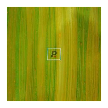 Flosing Prisma Verde-NaranjaPR10 80x60cm