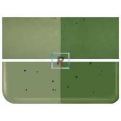 1141 Olive Green Transparent 89x51cm