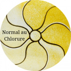 Silver Yellow Normal au Chlorure 580º-750ºC 100gr.