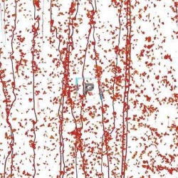 4224 Red Frit, Red Streamers 89x51cm